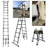 ladders2