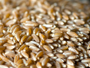 farro
