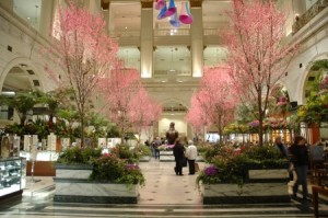 macys-flower-show088