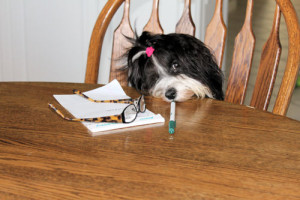 dogwriting